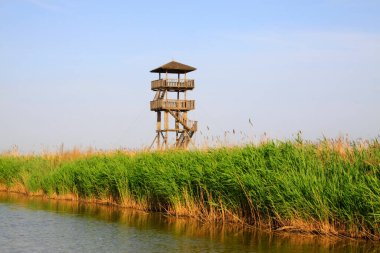 Wetland Park manzarası, fotoğrafa yakın çekim