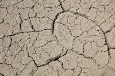 Arid cracked land, closeup of photo
