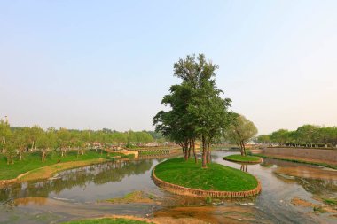 Adadaki ağaçlar, fotoğrafa yakın çekim.