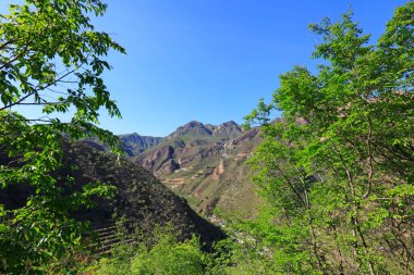 Dağların doğal ortamı