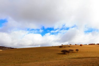 İç Moğolistan 'daki Ulan ovasının manzarası, Chin.