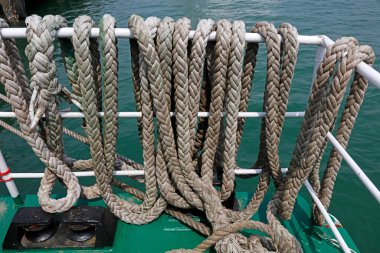 Deniz kablosu, fotoğrafa yakın çekim.