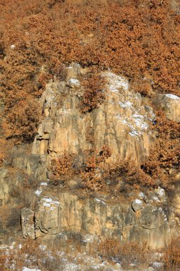 Dağlarda, kuzey Çin 'de, solgun ve sarı bitkiler...