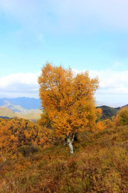 Dağ doğal manzarası, fotoğrafa yakın çekim