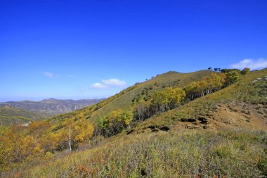 Dağ doğal manzarası, fotoğrafa yakın çekim