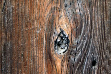 Sarsıntılı tahıl, fotoğrafa yakın çekim.