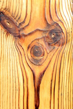 Sarsıntılı tahıl, göz şekli