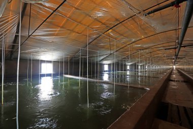 Çin 'deki intihar göleti.