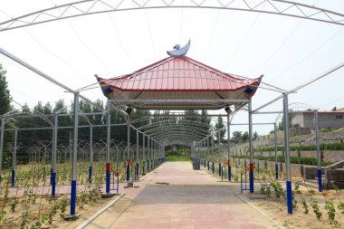 Üzüm bağı mimarisi, fotoğrafa yakın çekim.