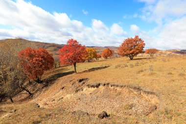 İç Moğolistan 'daki Ulan ovasının manzarası, Chin.