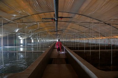 Deniz suyu fabrikası uzakta.