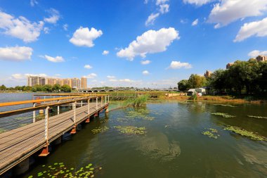 Su Parkı Mimari Sahnesi