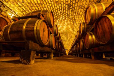 Şarap mahzenlerinde meşe fıçıları, Changli County, Hebei Eyaleti, Çin