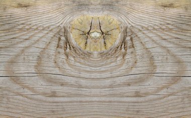 ahşap doku, closeup fotoğraf