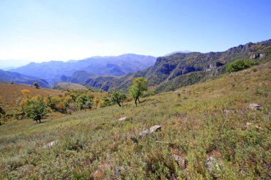 Dağ doğal manzarası, fotoğrafa yakın çekim