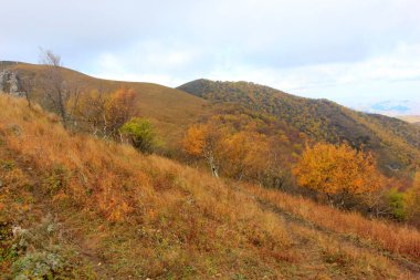 Dağ doğal manzarası, fotoğrafa yakın çekim
