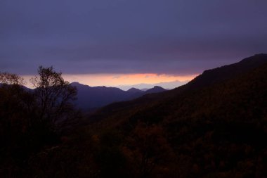 Sabahları dağ manzarası, fotoğrafa yakın çekim.