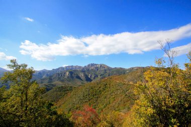 Doğal manzara, fotoğrafa yakın çekim.