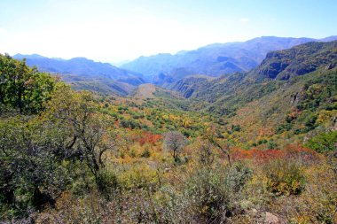 Doğal manzara, fotoğrafa yakın çekim.