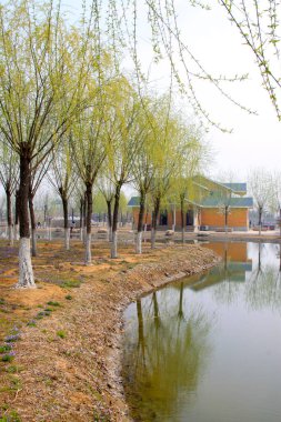 Ağaçlar ve tavan arası bir parkta, fotoğrafa yakın.