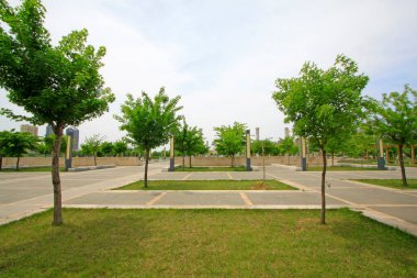 Parktaki çimenler ve ağaçlar, fotoğrafa yakın çekim.