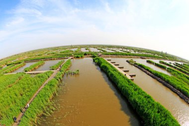 Hebei kaofeidyan golf sahası 