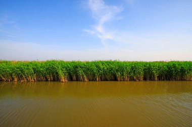 Hebei kaofeidyan golf sahası