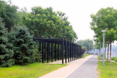 Park Binası Manzarası, Çin