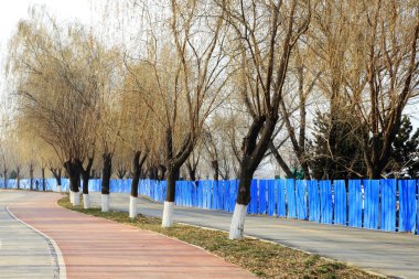 Yollar ve mavi demir ağaçları