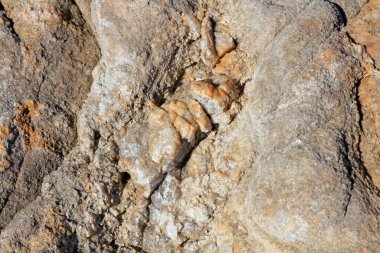 Kaya dokusu, fotoğrafa yakın çekim