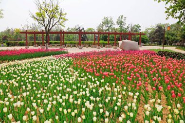 Veranda ve kaya heykeli