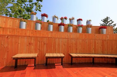 Ahşap zemin, duvarlar ve saksı