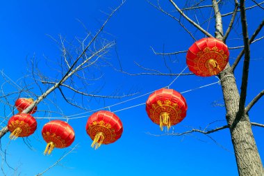Mavi gökyüzündeki dallara asılı kırmızı fenerler