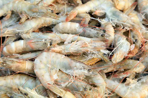 Taze karides eti, yakın plan fotoğraf.