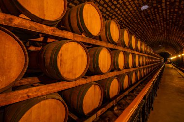 Şarap mahzenlerinde meşe fıçıları, Changli County, Hebei Eyaleti, Çin