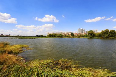 Liman Parkı Mimari Sahnesi, Çin
