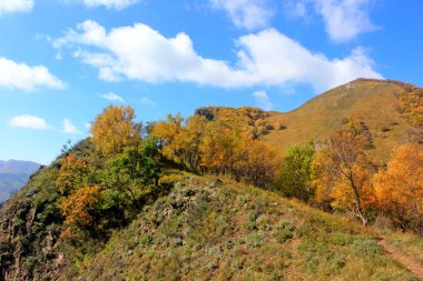 Dağ doğal manzarası, fotoğrafa yakın çekim