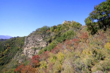 Doğal manzara, fotoğrafa yakın çekim.
