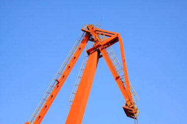 vinç tembel kolu, fotoğrafa yaklaş