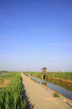 Yollar ve yapay kuş yuvası