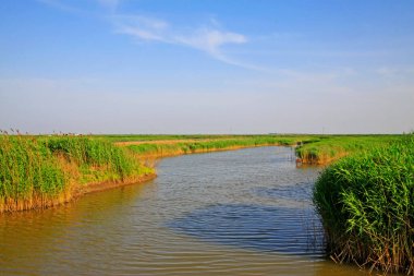 Hebei kaofeidyan golf sahası