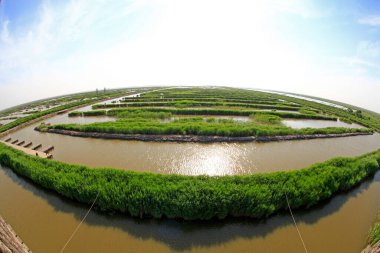 Hebei kaofeidyan golf sahası 