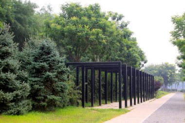 Park Binası Manzarası, Çin