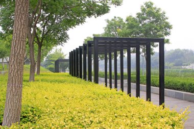 Park Binası Manzarası, Çin