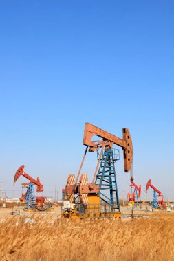 Petrol sahasında mavi gökyüzünün altında pompalama ünitesi ve kamış