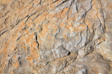 Kaya dokusu, fotoğrafa yakın çekim