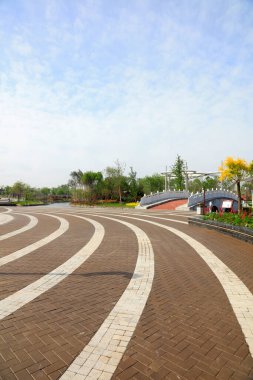 Şehir parkı manzarası, fotoğrafa yakın çekim