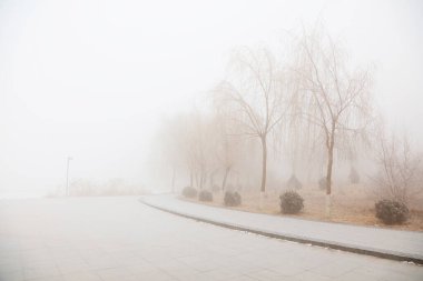 Kışın doğal manzara.