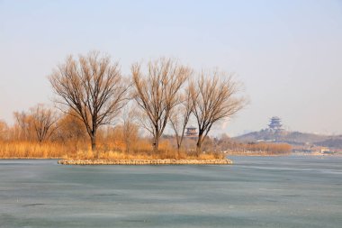 Göl ağaçları parktalar.