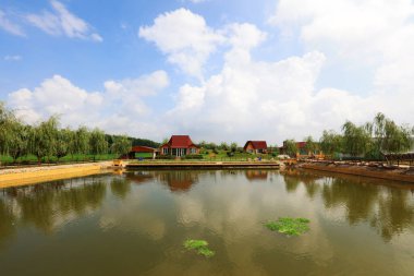 Parktaki göletin yaz manzarası